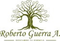 Roberto Guerra